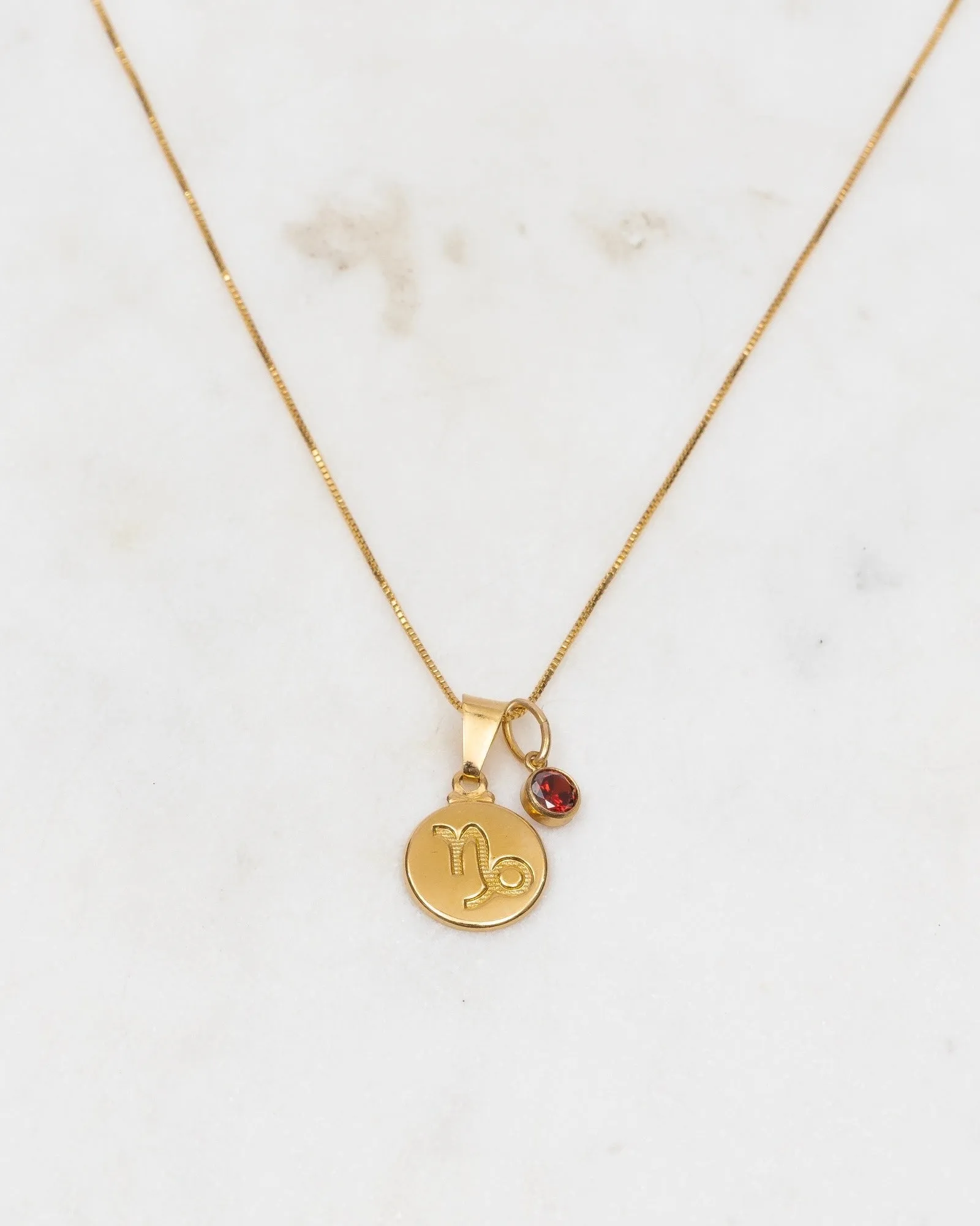 Capricorn Zodiac Necklace