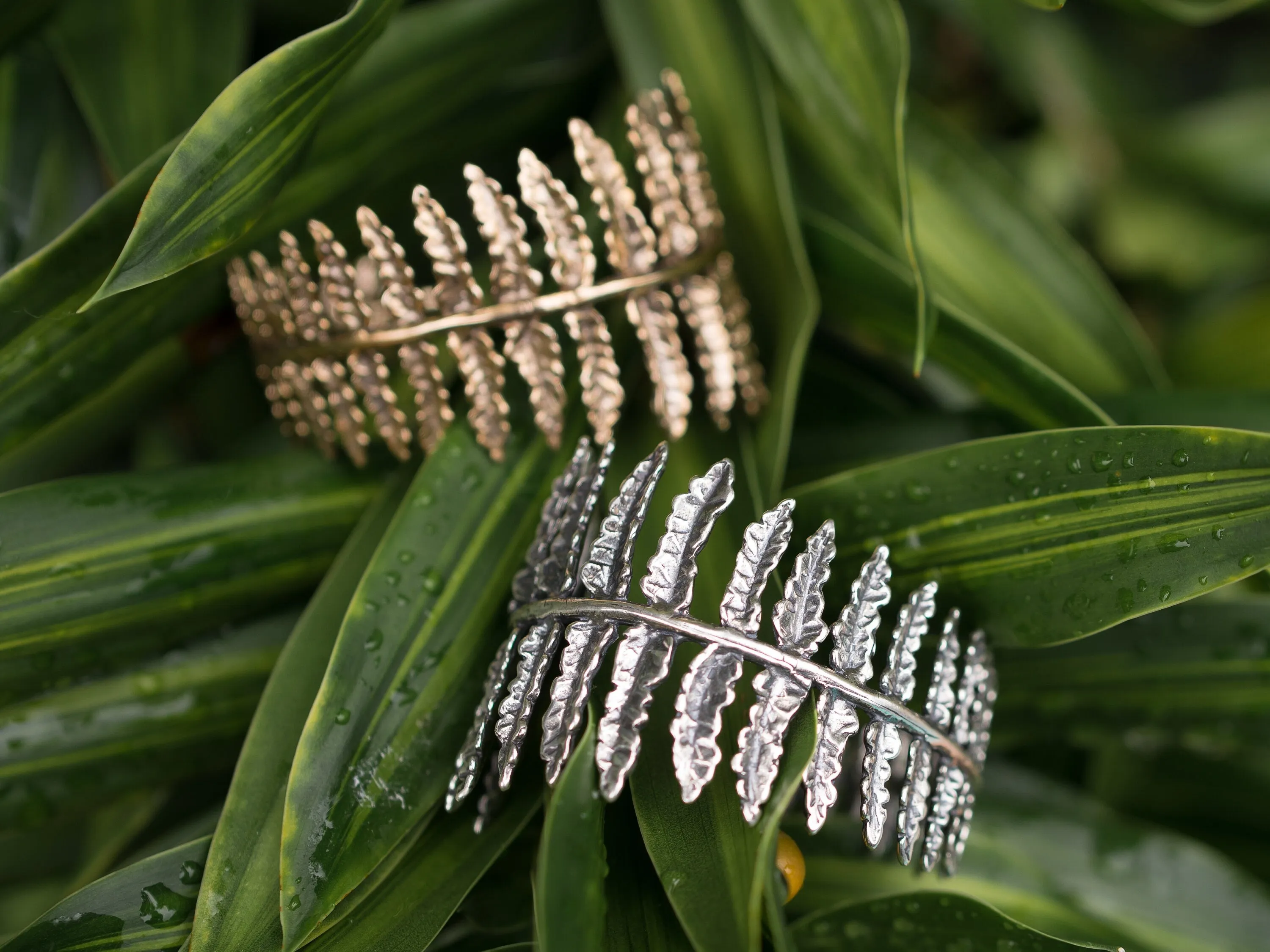 Fern Cuff