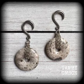 Fossilised coral jasper gauged earrings-Fossil ear gauges