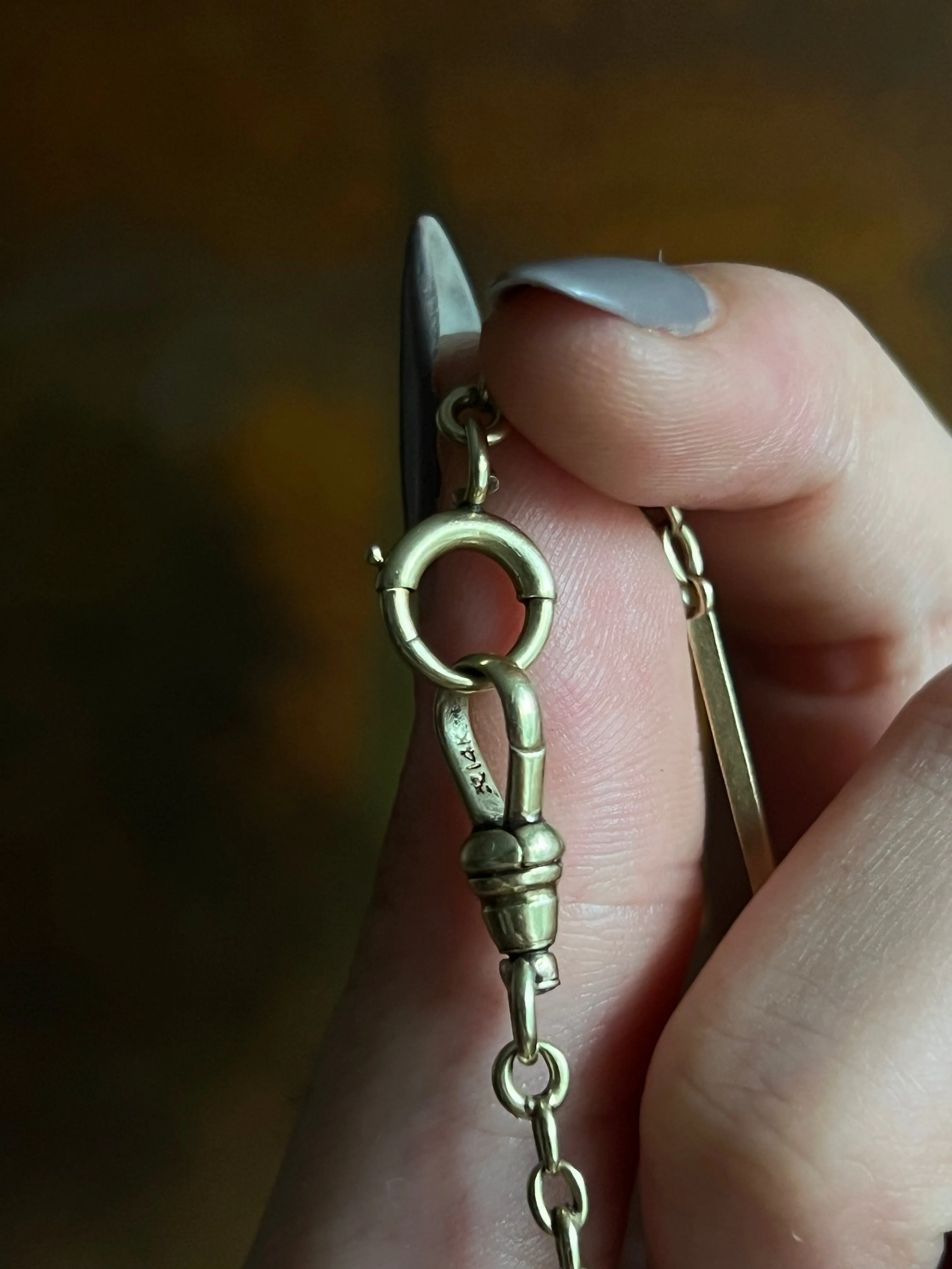 Late 19th Century 14ct Watch Chain with Ribbon Etching