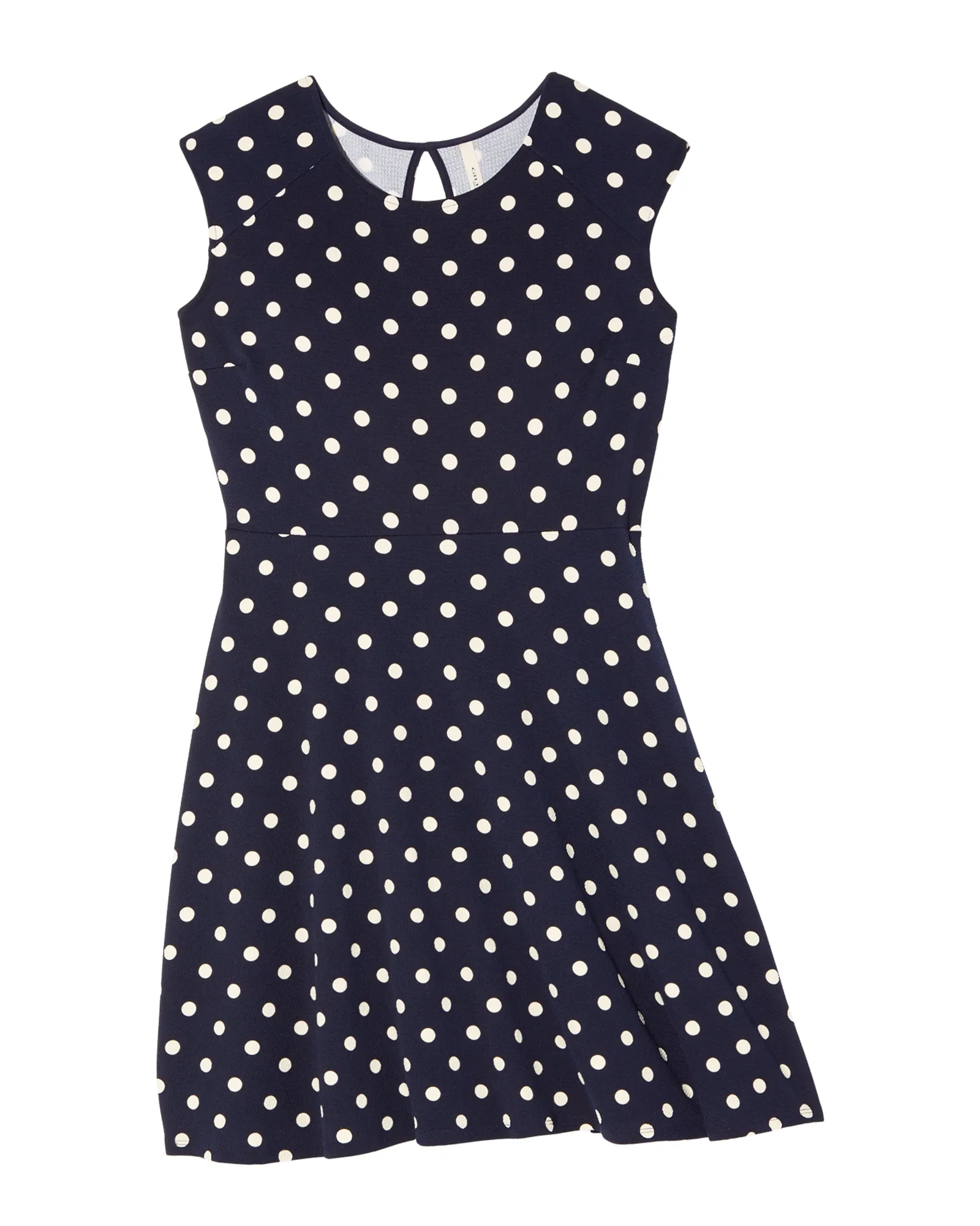 Lenoir Knit Printed Dress | Navy / White