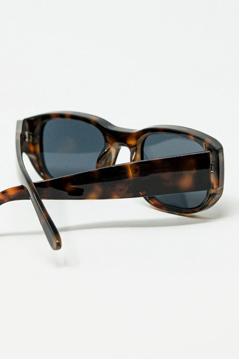 Oval Sunglasses with High Gloss Transparent Frames in brown