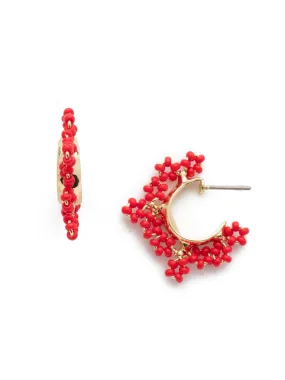 Sefina Small Hoop Earring - EEH25BGRCO